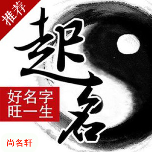 龙凤宝宝起名