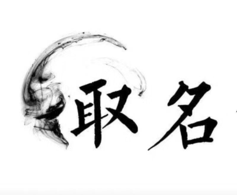  龙凤宝宝取名 大师一对一人工起名