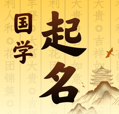 龙凤国学起名 人工起名一对一